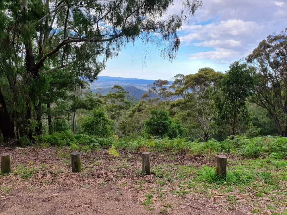 PHOTO 2020 05 13 16 41 453